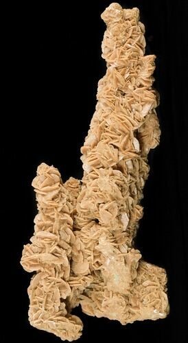 Desert (Selenite) Rose Tower - Sahara Desert #46552